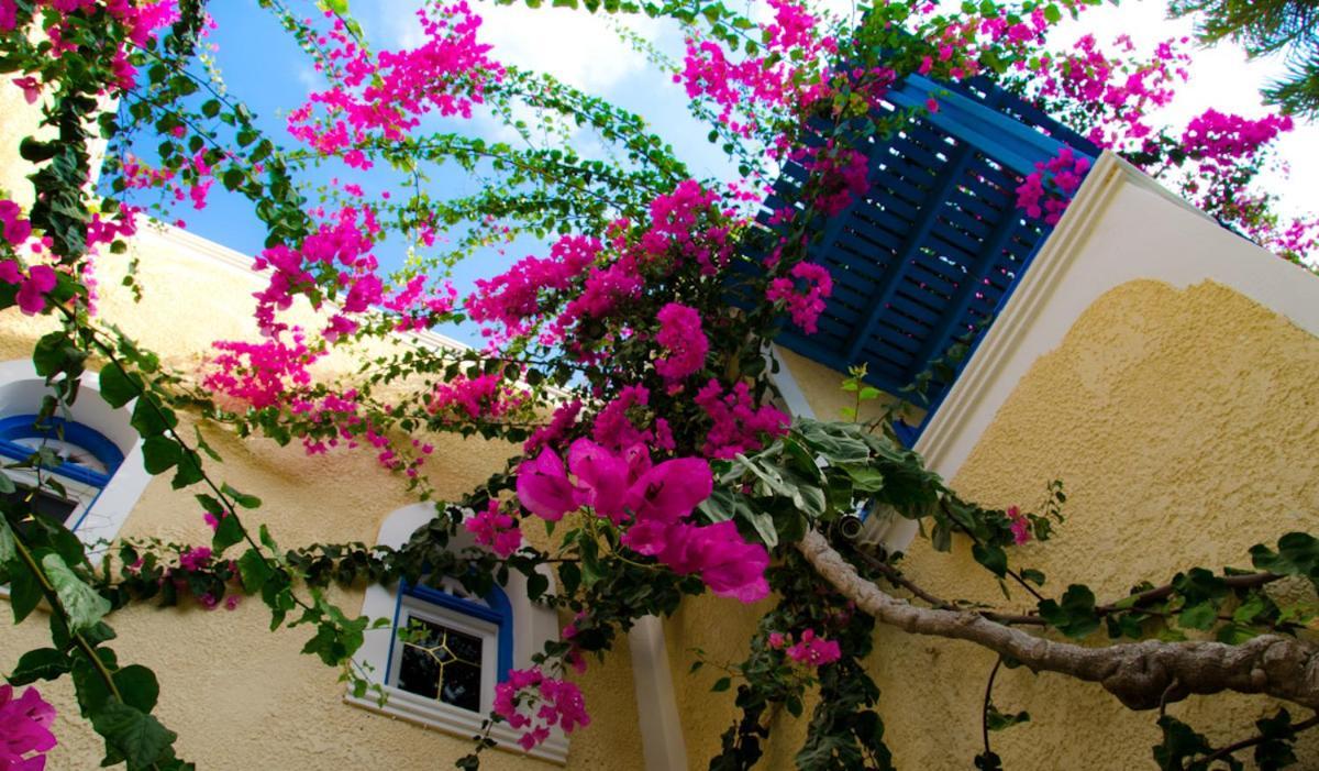 Kamári Hotel Zeus מראה חיצוני תמונה